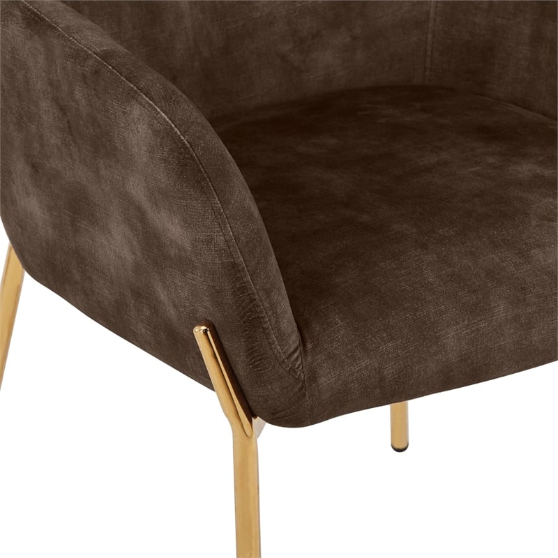 Upholstered Dining Chair in Velvet with Gold Chrome Iron in Brown