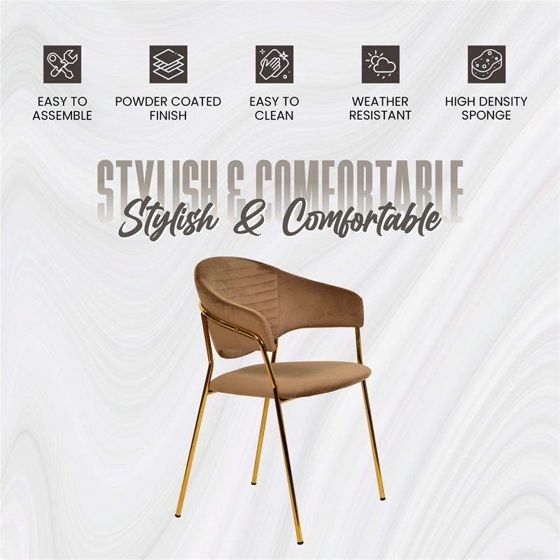 Dining Chair in Velvet Gold Stainless Steel Armchair in Brown