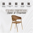 Dining Chair in Velvet Gold Stainless Steel Armchair in Brown