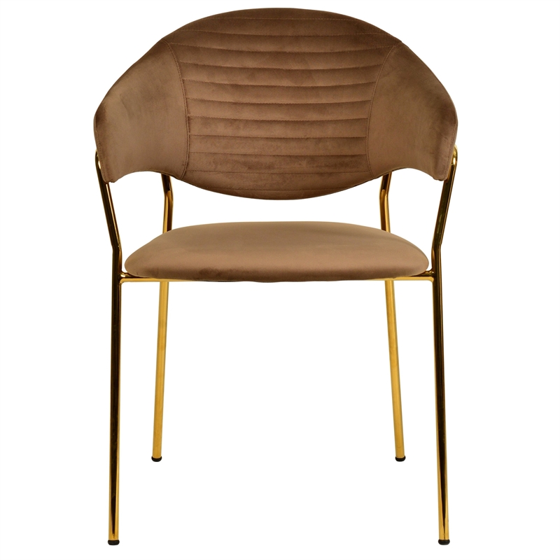 Dining Chair in Velvet Gold Stainless Steel Armchair in Brown