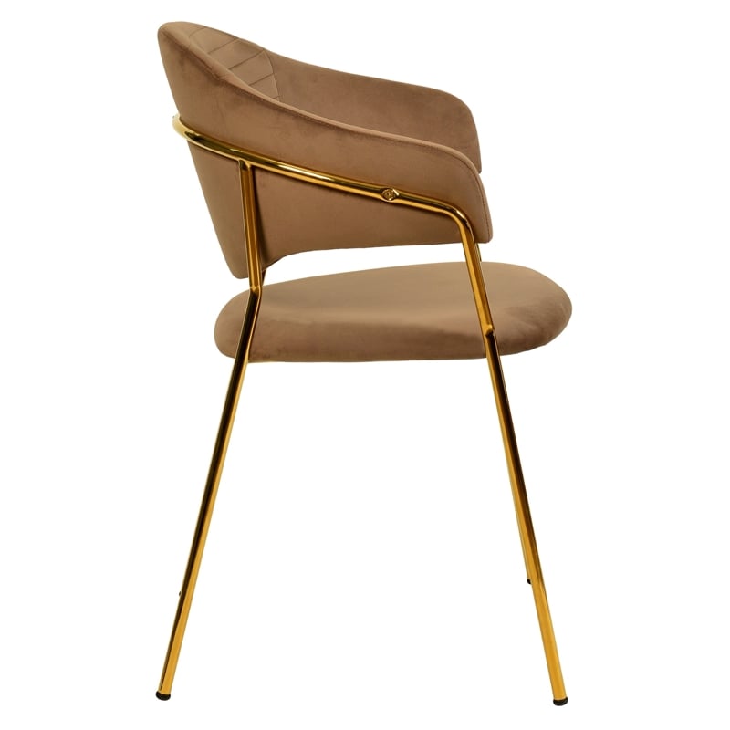 Dining Chair in Velvet Gold Stainless Steel Armchair in Brown