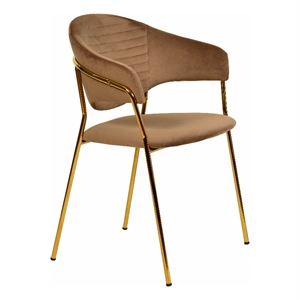Dining Chair in Velvet Gold Stainless Steel Armchair in Brown