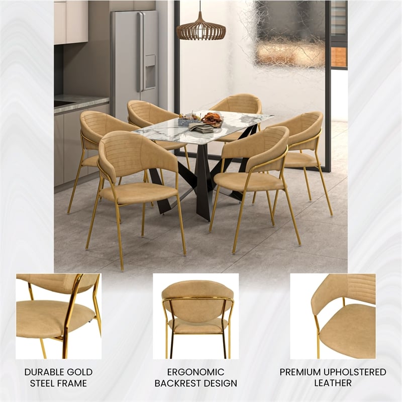 Dining Chair in Leather Gold Stainless Steel Armchair in Taupe