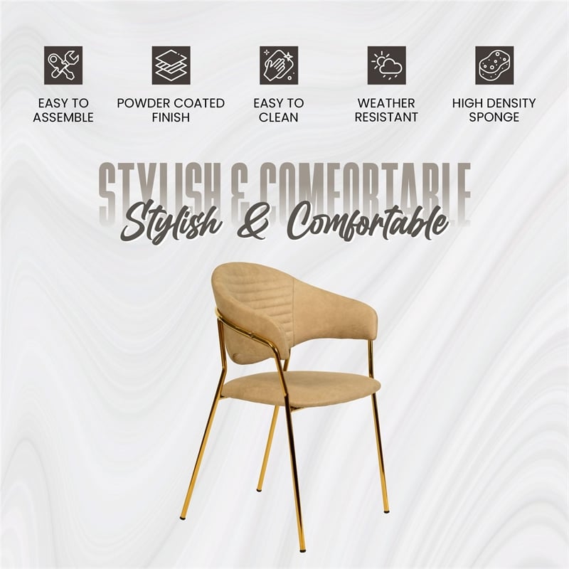 Dining Chair in Leather Gold Stainless Steel Armchair in Taupe