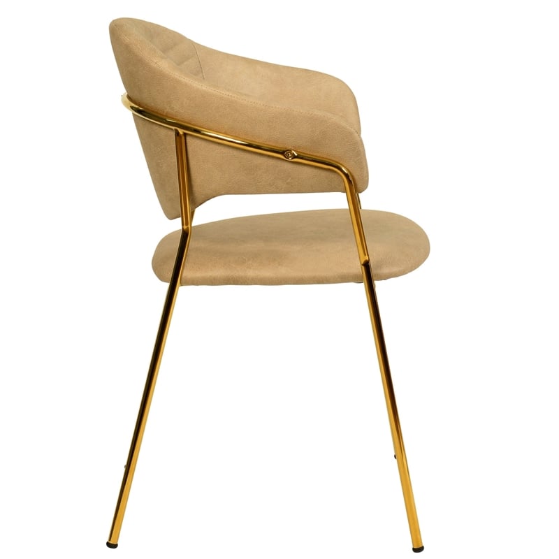 Dining Chair in Leather Gold Stainless Steel Armchair in Taupe
