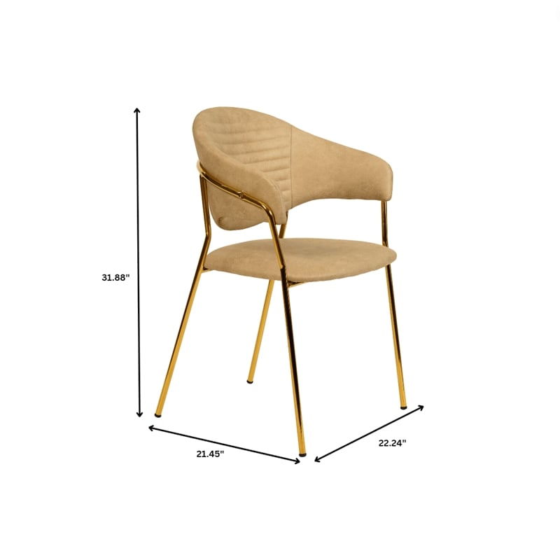 Dining Chair in Leather Gold Stainless Steel Armchair in Taupe