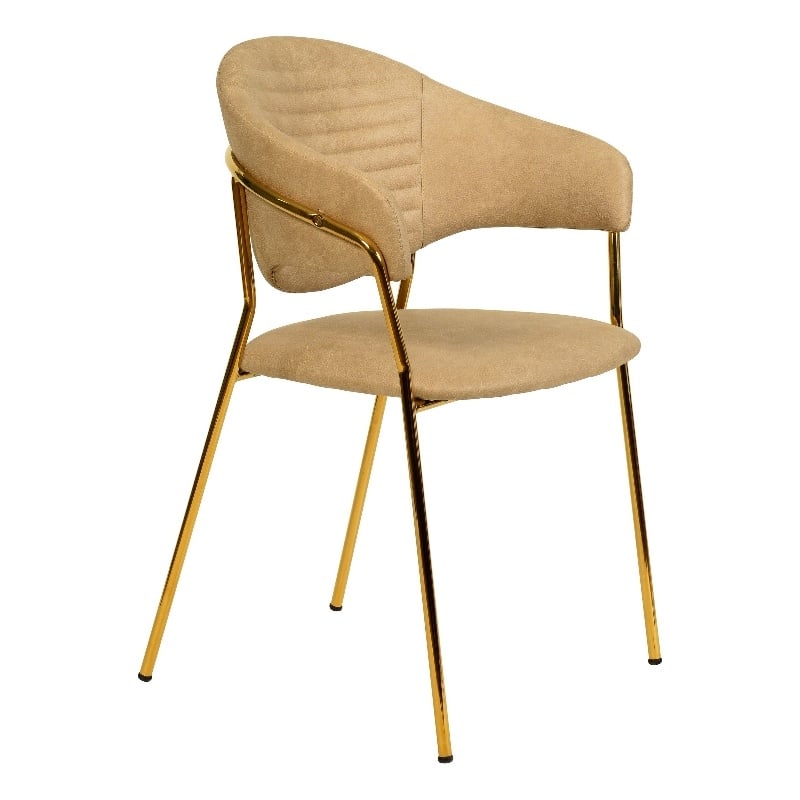 Dining Chair in Leather Gold Stainless Steel Armchair in Taupe