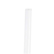 Transparent Plastic Dining Chair White Stainless Steel Base in Clear