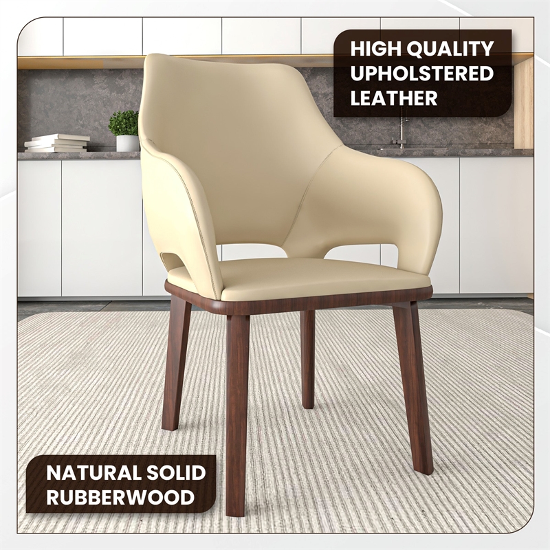 Leather Dining Chair with Rubberwood Base in Off White