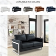 Leather Loveseat with Removable Cushions and Stainless Steel Base in Black