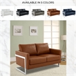 Leather Loveseat with Removable Cushions and Stainless Steel Base in Brown