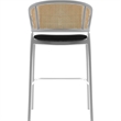 Ervilla Wicker Back and Leather Upholstered Bar Stool in Black/White (Set of 2)