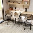 Ervilla Wicker Back and Leather Upholstered Bar Stool in Taupe/Black (Set of 2)
