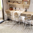 Ervilla Wicker Back and Leather Upholstered Bar Stool in Taupe/White (Set of 2)