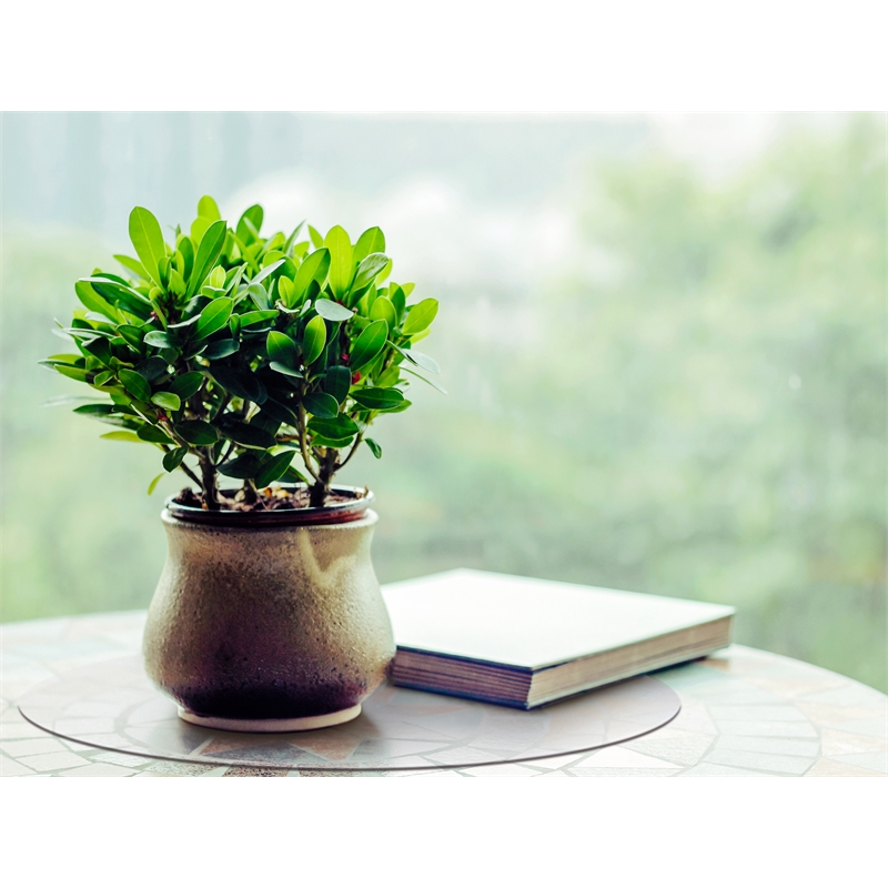 Hometex Clear 8in Polycarbonate Plastic Round Placemats Set of 2