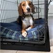 P-Tex Polypropylene Pet Crate Floor Protection Mat - Medium - 20