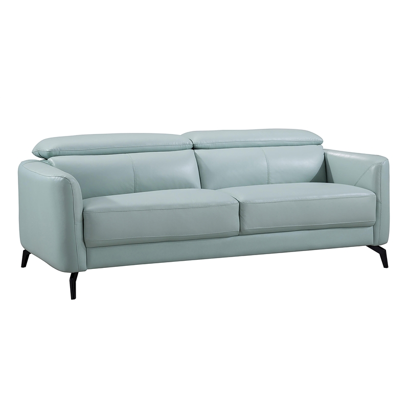 Light Teal Color, Teal Leather Couch Living Room