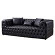 AE-D821 Black Color With Faux Leather Sofa