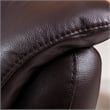 EK073 Dark Chocolate (Brown) Color With Italian Leather Sofa