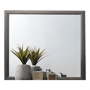 Sierra Contemporary Portrait Mirror Made with Wood in Gray Color