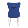 Erica 2 Piece Stainless Steel Legs Chair Finish with Velvet Fabric in Blue