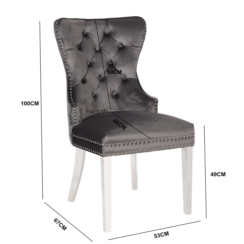 Erica 2 Piece Stainless Steel Legs Dinning Chair Finish with Velvet in Dark Gray