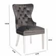 Erica 2 Piece Stainless Steel Legs Dinning Chair Finish with Velvet in Dark Gray