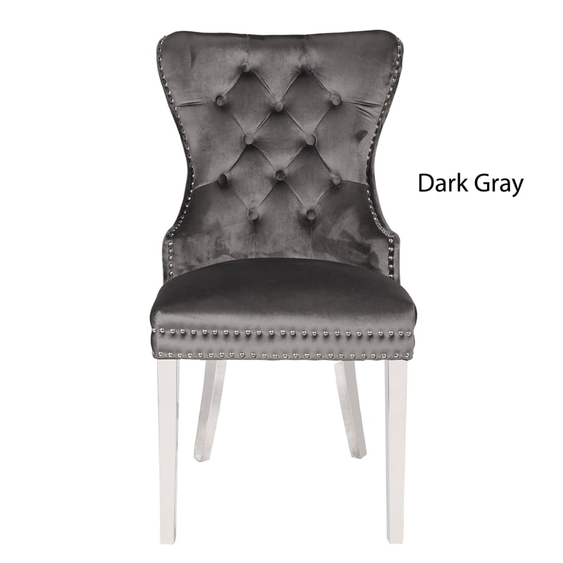 Erica 2 Piece Stainless Steel Legs Dinning Chair Finish with Velvet in Dark Gray