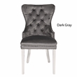 Erica 2 Piece Stainless Steel Legs Dinning Chair Finish with Velvet in Dark Gray