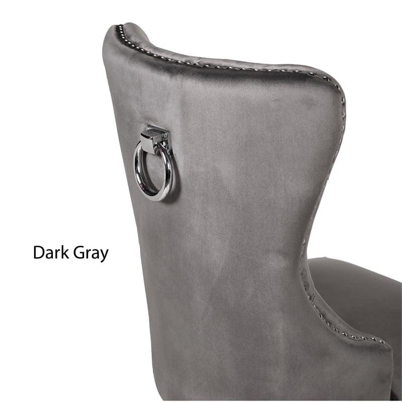Erica 2 Piece Stainless Steel Legs Dinning Chair Finish with Velvet in Dark Gray