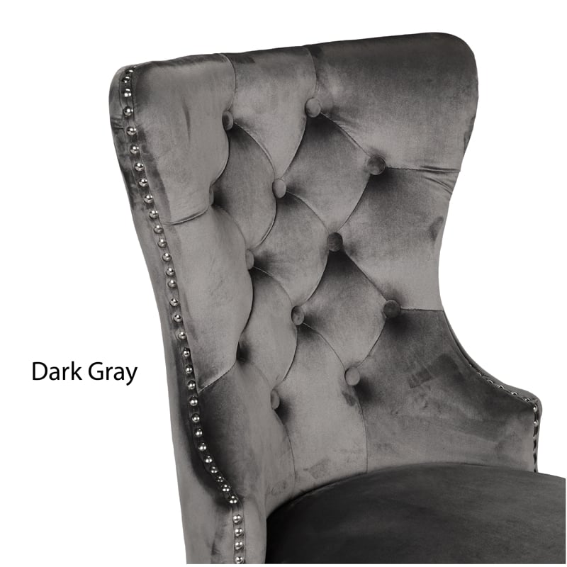 Erica 2 Piece Stainless Steel Legs Dinning Chair Finish with Velvet in Dark Gray