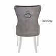 Erica 2 Piece Stainless Steel Legs Dinning Chair Finish with Velvet in Dark Gray