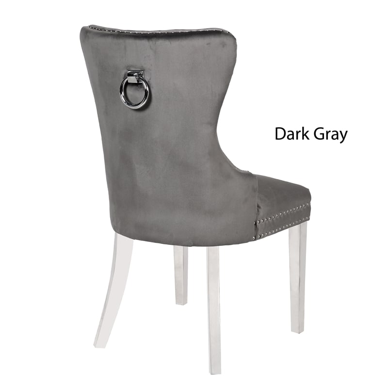 Erica 2 Piece Stainless Steel Legs Dinning Chair Finish with Velvet in Dark Gray