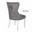 Erica 2 Piece Stainless Steel Legs Dinning Chair Finish with Velvet in Dark Gray