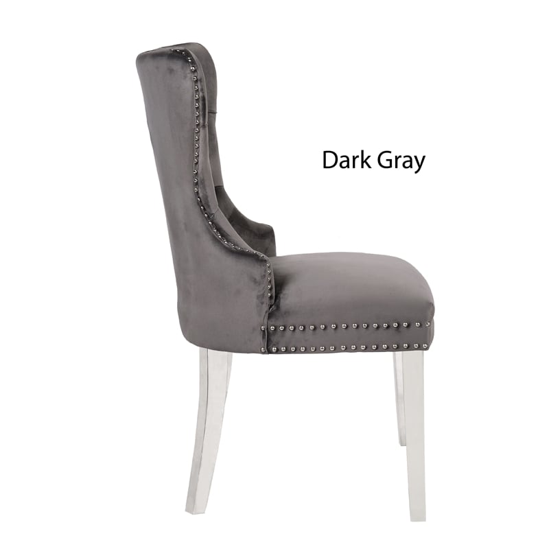 Erica 2 Piece Stainless Steel Legs Dinning Chair Finish with Velvet in Dark Gray