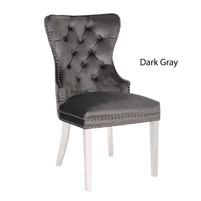 Erica 2 Piece Stainless Steel Legs Dinning Chair Finish with Velvet in Dark Gray