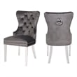 Erica 2 Piece Stainless Steel Legs Dinning Chair Finish with Velvet in Dark Gray