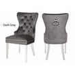 Erica 2 Piece Stainless Steel Legs Dinning Chair Finish with Velvet in Dark Gray