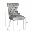 Erica 2 Piece Stainless Steel Legs Chair Finish with Velvet Fabric in Light Gray