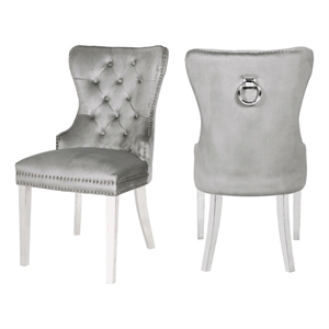 Erica 2 Piece Stainless Steel Legs Chair Finish with Velvet Fabric in Light Gray