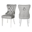 Erica 2 Piece Stainless Steel Legs Chair Finish with Velvet Fabric in Light Gray