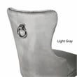 Erica 2 Piece Stainless Steel Legs Chair Finish with Velvet Fabric in Light Gray