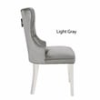 Erica 2 Piece Stainless Steel Legs Chair Finish with Velvet Fabric in Light Gray