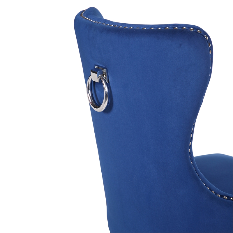 Erica 2 Piece Wood Legs Dinning Chair Finish with Velvet Fabric in Blue