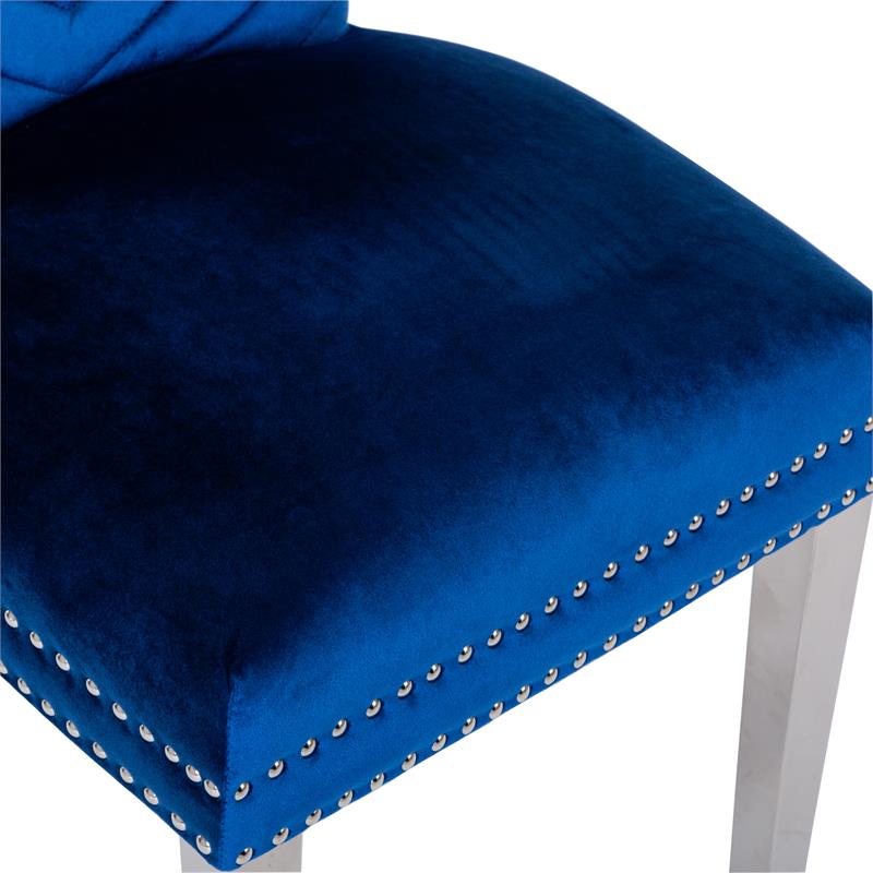Eva 2 Piece Stainless Steel Legs Chair Finish with Velvet Fabric in Blue