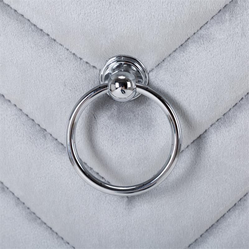 Eva 2 Piece Stainless Steel Legs Chair Finish with Velvet Fabric in Silver