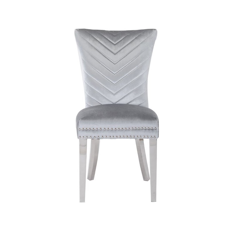 Eva 2 Piece Stainless Steel Legs Chair Finish with Velvet Fabric in Silver