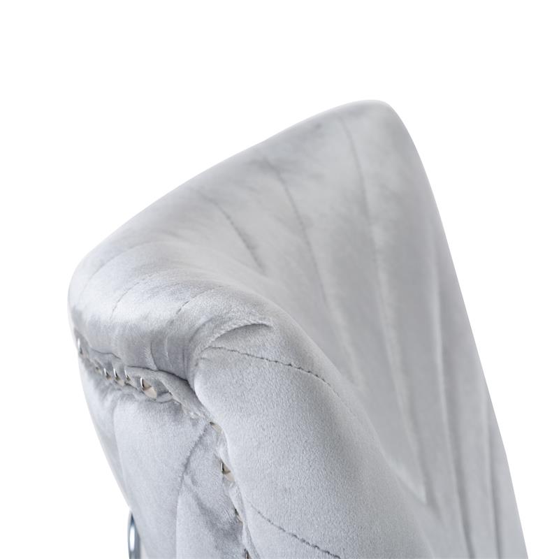 Eva 2 Piece Stainless Steel Legs Chair Finish with Velvet Fabric in Silver