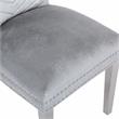 Eva 2 Piece Stainless Steel Legs Chair Finish with Velvet Fabric in Silver