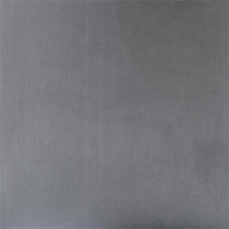 Eva 2 Piece Stainless Steel Legs Chair Finish with Velvet Fabric in Silver